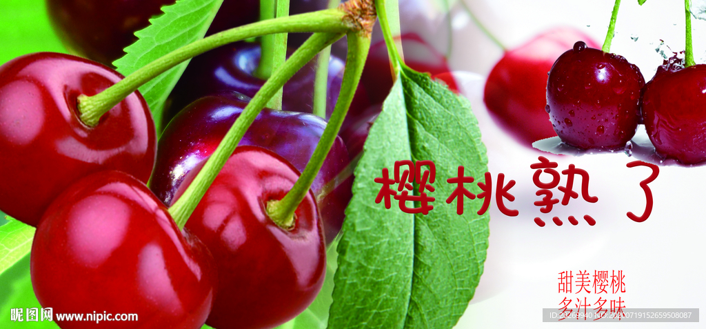 樱桃