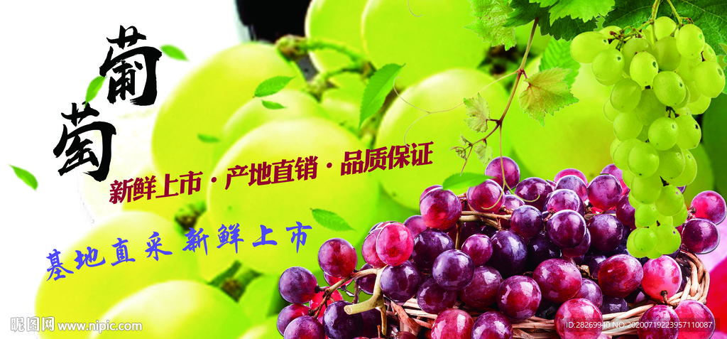 葡萄