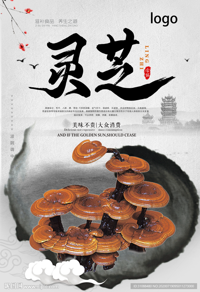 灵芝海报 野生灵芝海报 药材灵