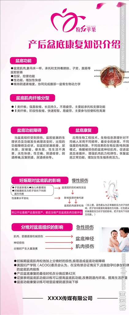 产后恢复盆底肌腹直肌训练展板