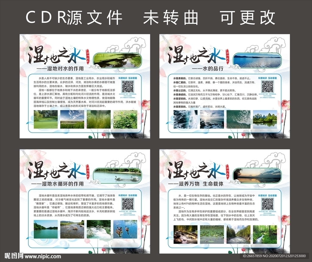 湿地之水