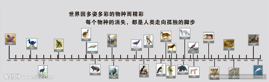 灭绝动物