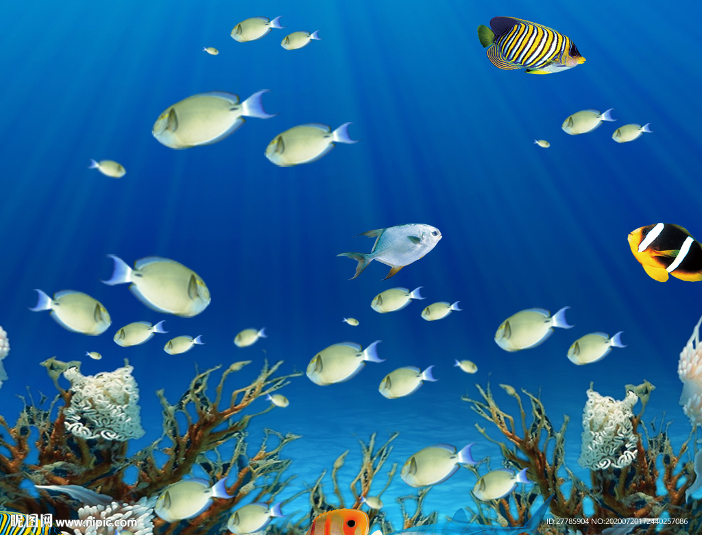海底世界