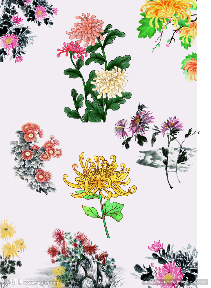 菊花