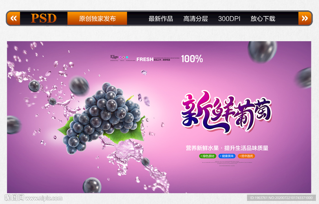 葡萄 葡萄采摘 葡萄海报