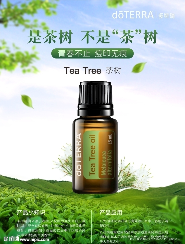 多特瑞茶树精油海报