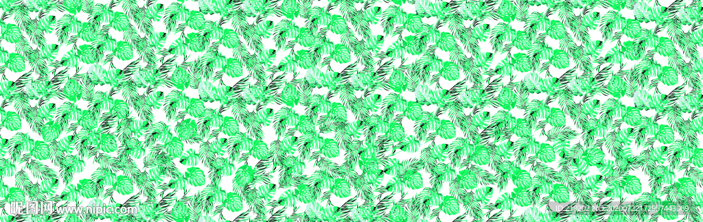 白底绿色龟背竹叶子