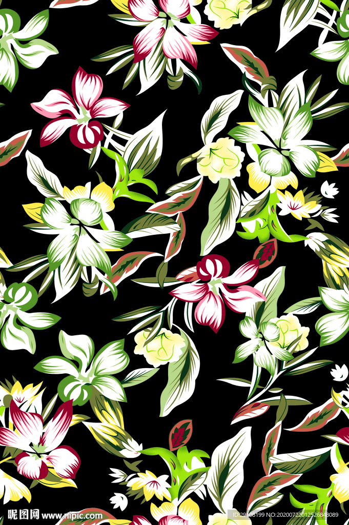 大牌花型 花卉 热带花