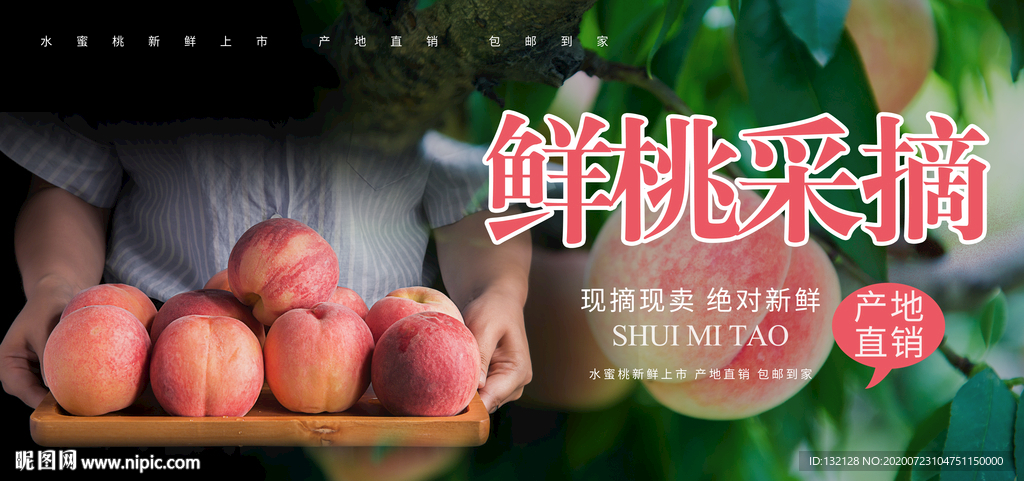 采摘桃子海报  鲜桃海报 桃子