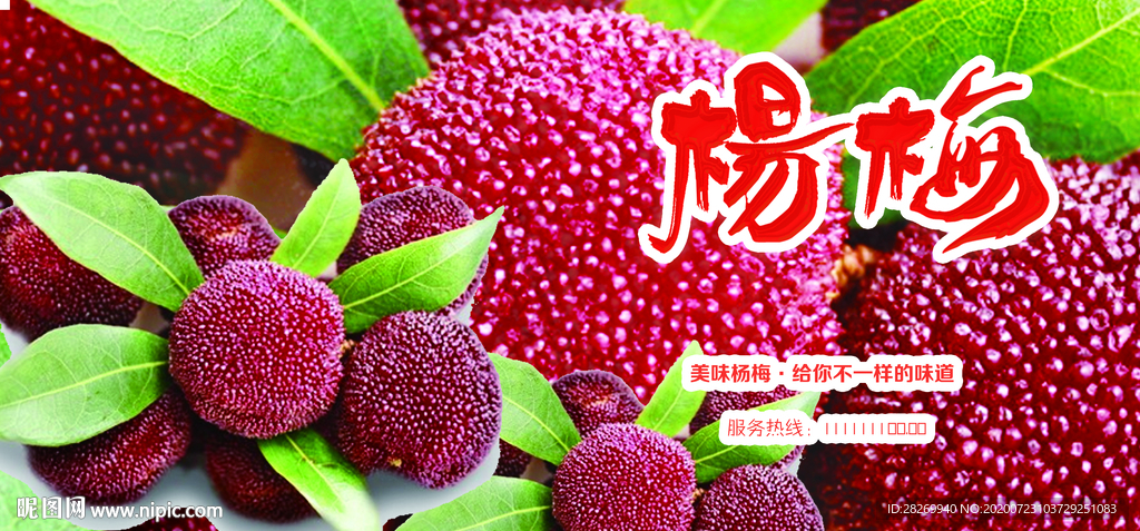 杨梅海报