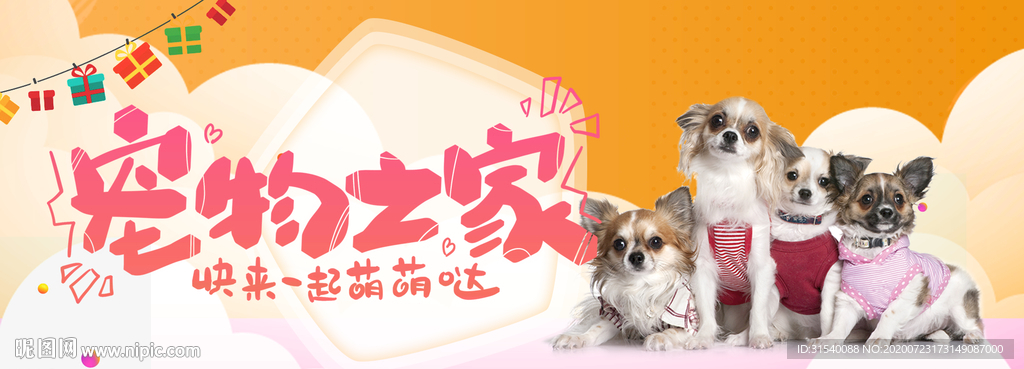 宠物商店 美容