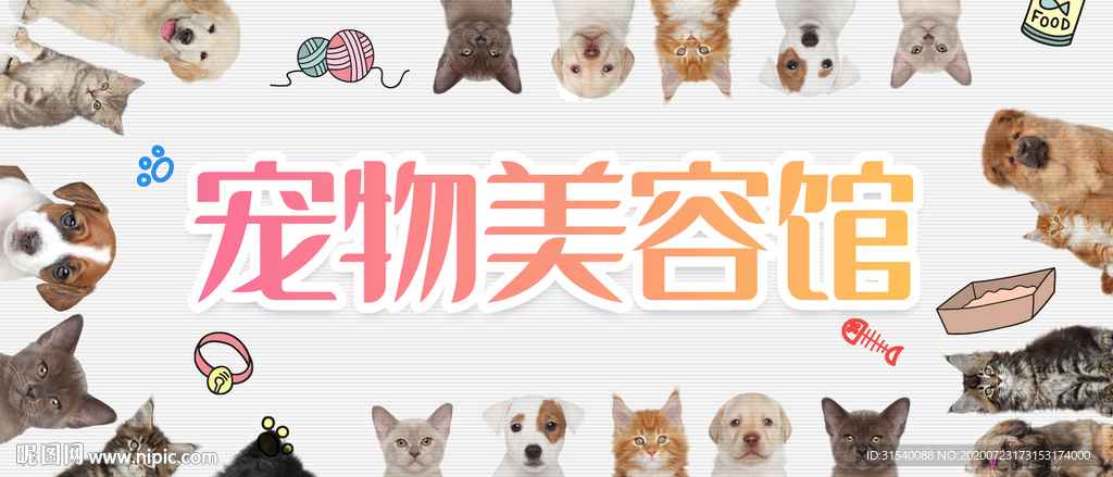 宠物 宠物美容馆