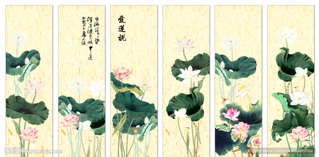 荷花图