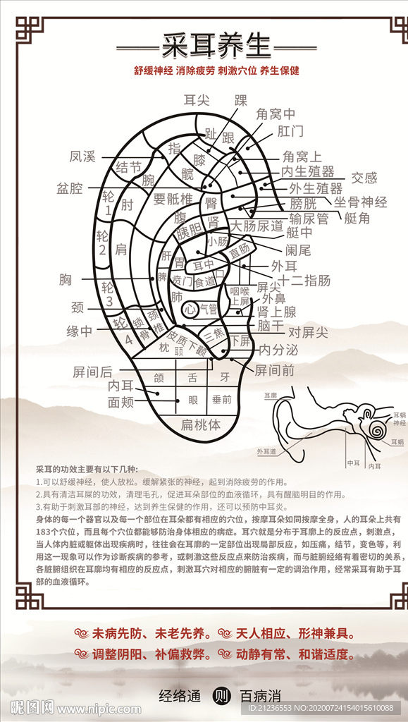 采耳养生展板
