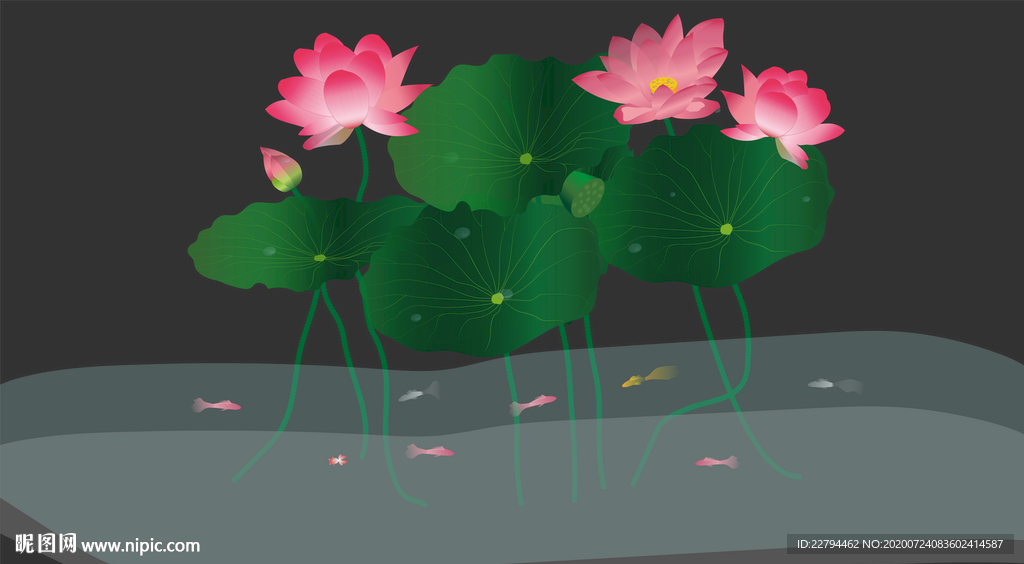 荷花