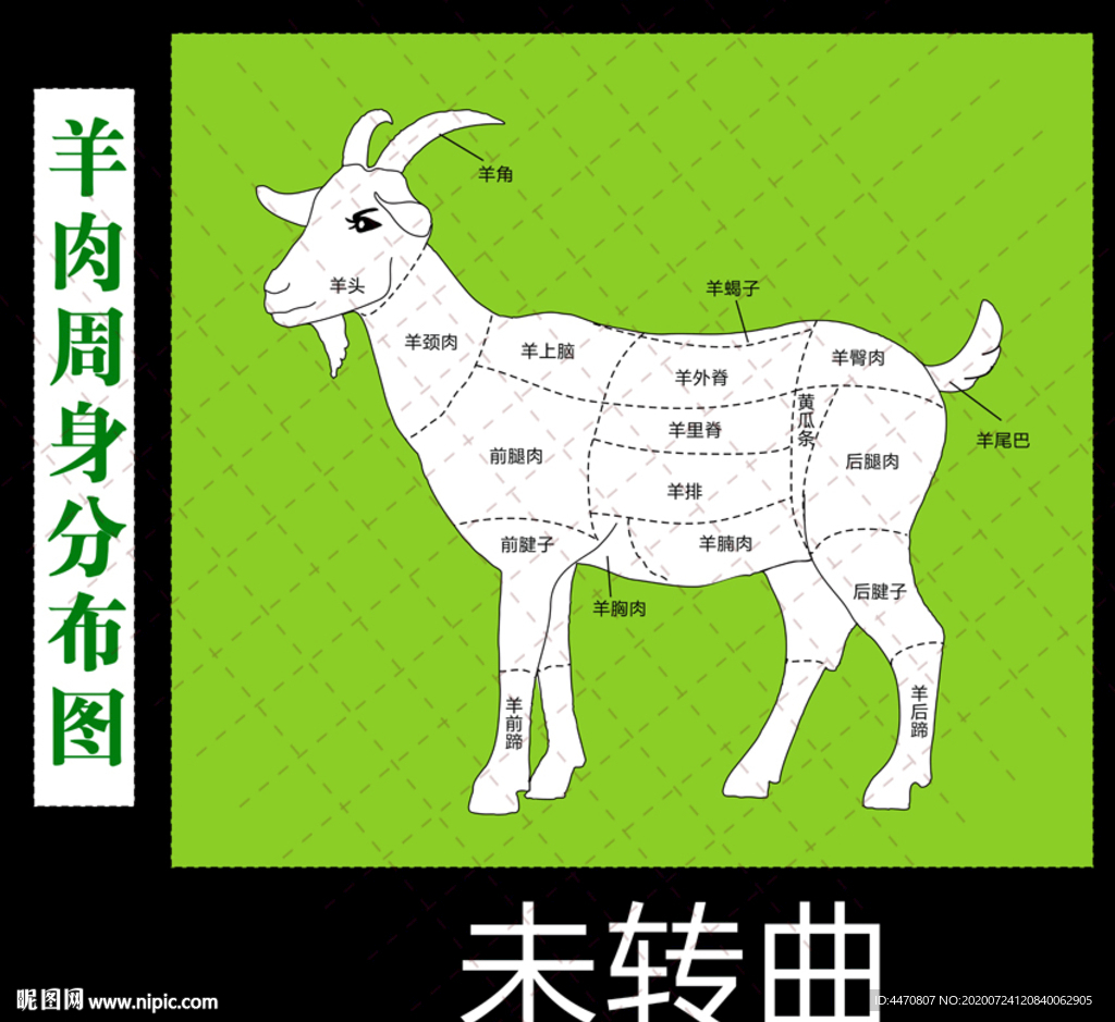 羊肉部位图
