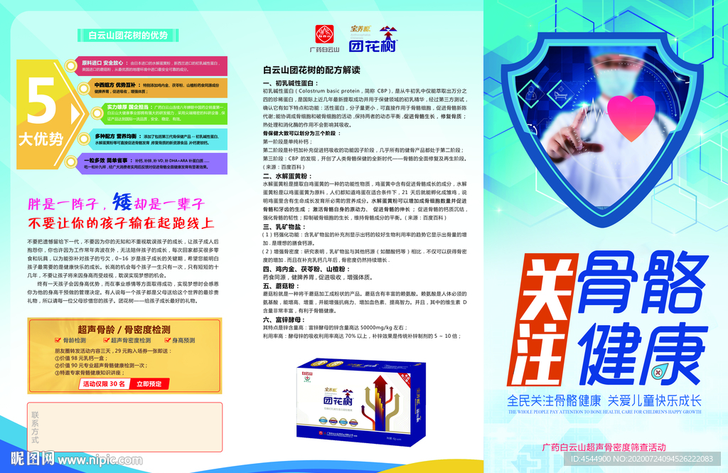 白云山团花树骨骼健康DM宣传单
