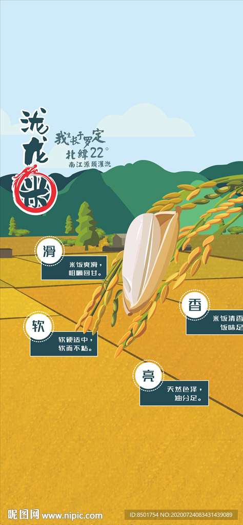 泷龙米业海报