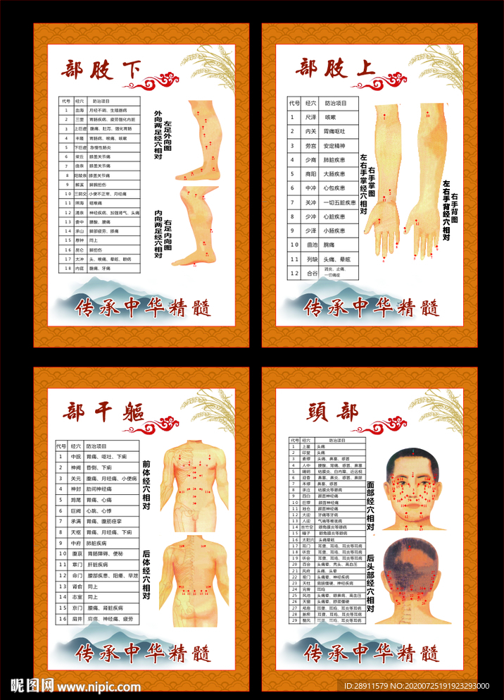 穴位图 穴位图海报 穴位图展板