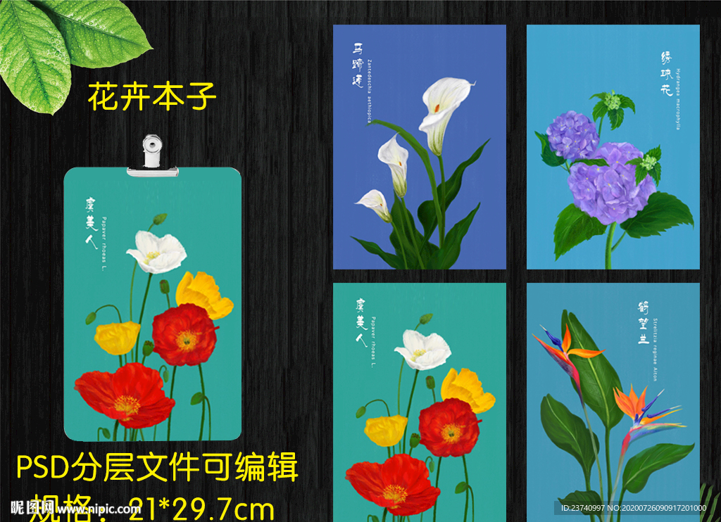 花卉本子