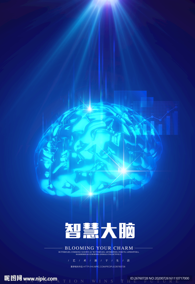 智慧大脑
