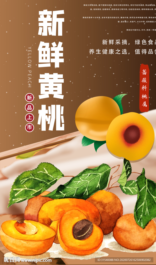 新鲜黄桃 肖