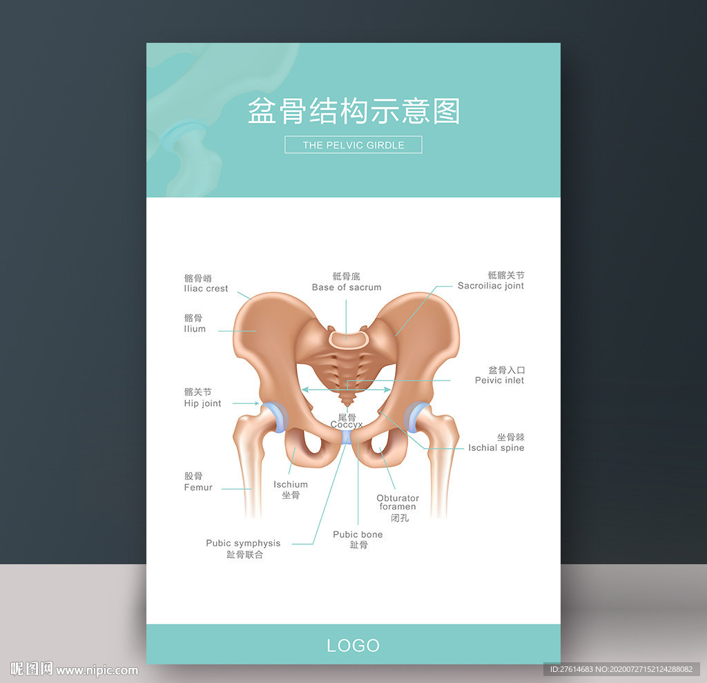 产后骨盆修复