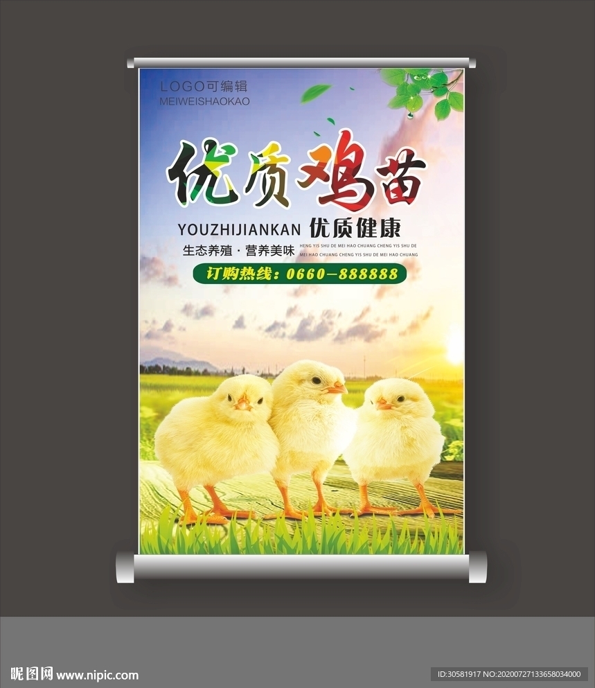 鸡苗海报