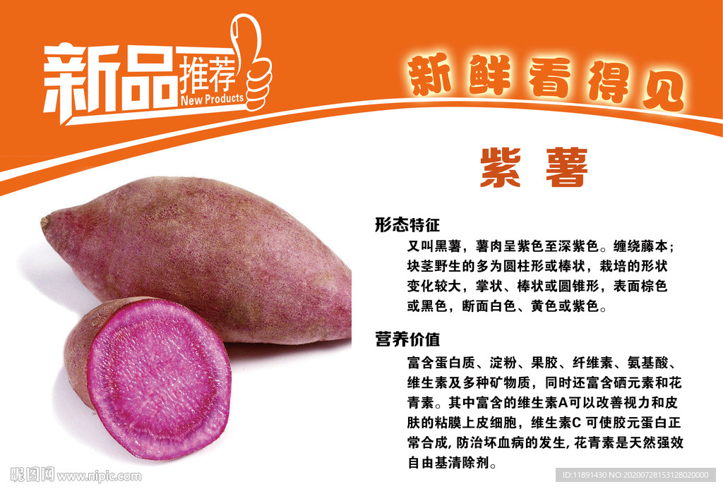紫薯简介