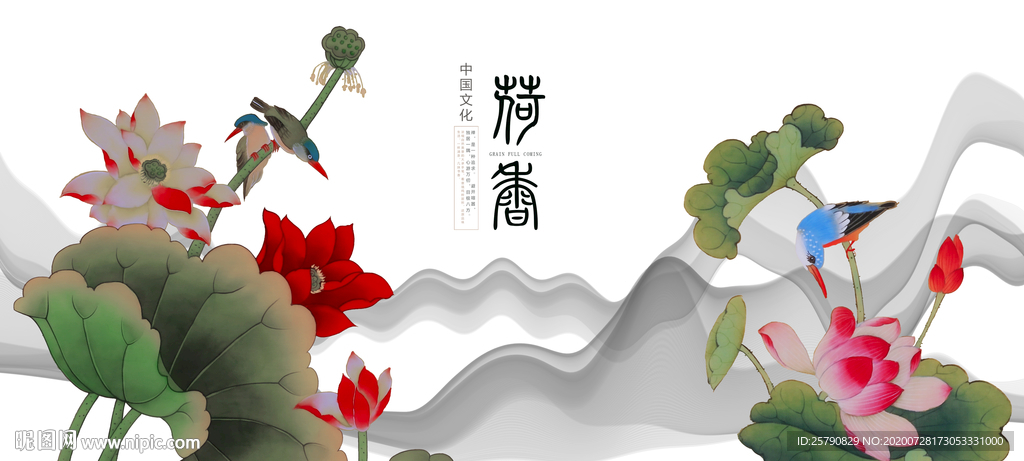 荷花