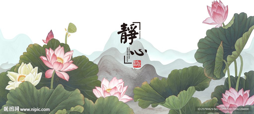 国画荷花