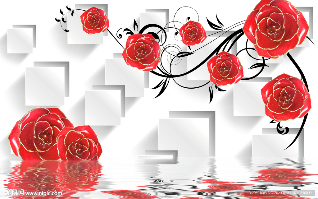 玫瑰花图片
