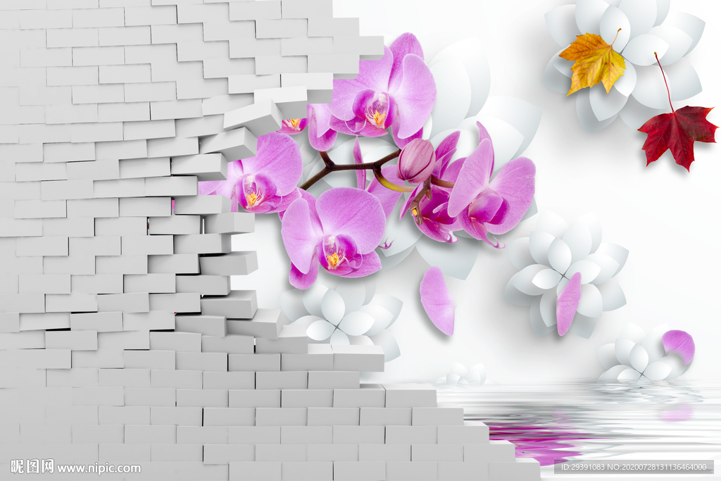 砖墙浪漫粉色花卉图片
