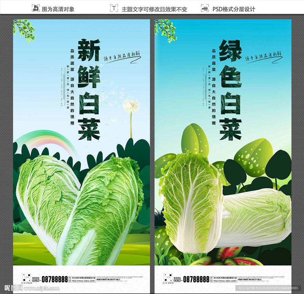 白菜