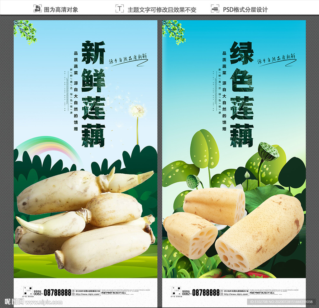 莲藕