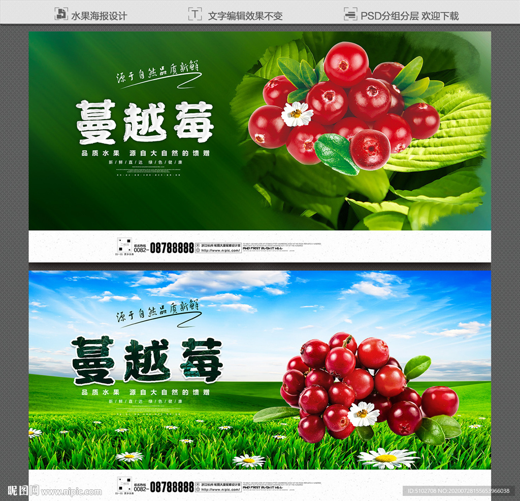 蔓越莓