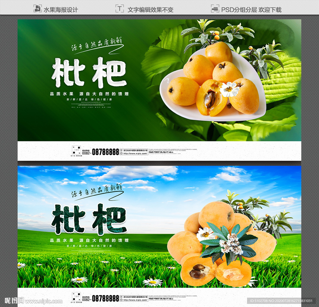 枇杷  枇杷海报