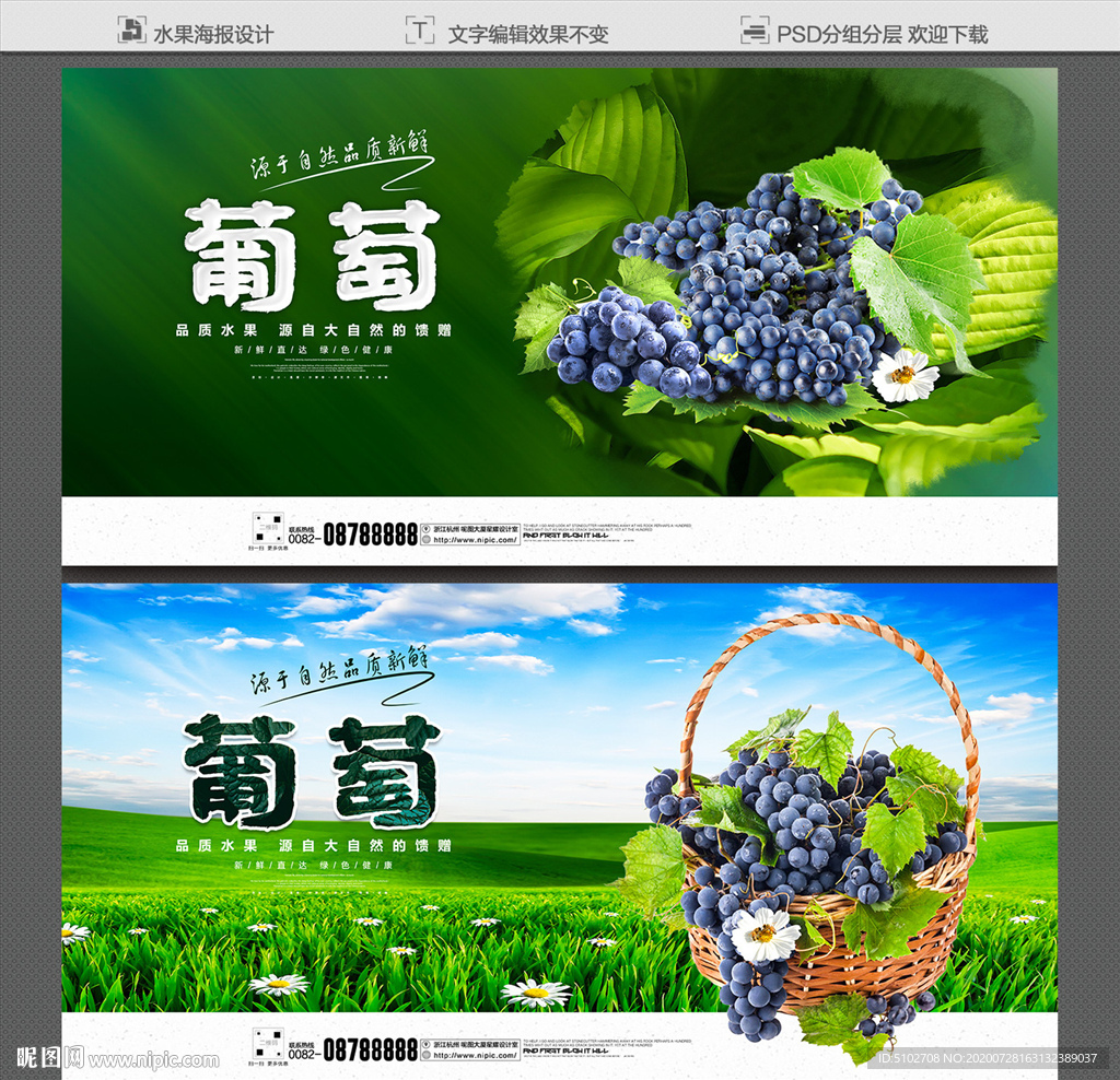 葡萄 葡萄海报 葡萄展板
