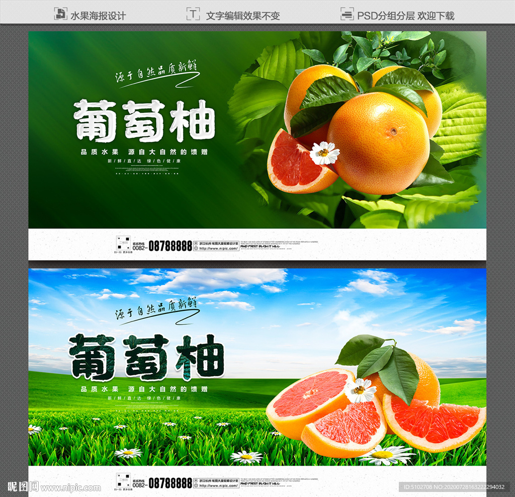 葡萄柚