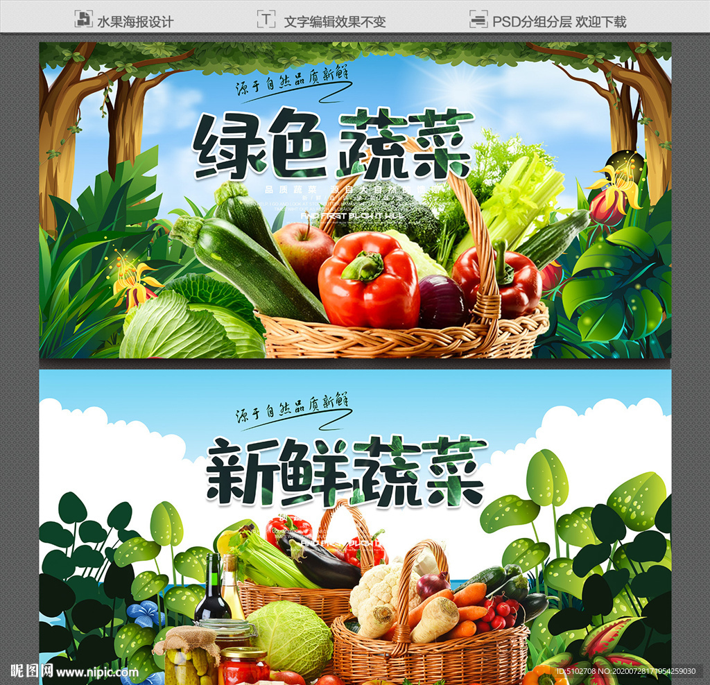 蔬菜 蔬菜展板 蔬菜海报