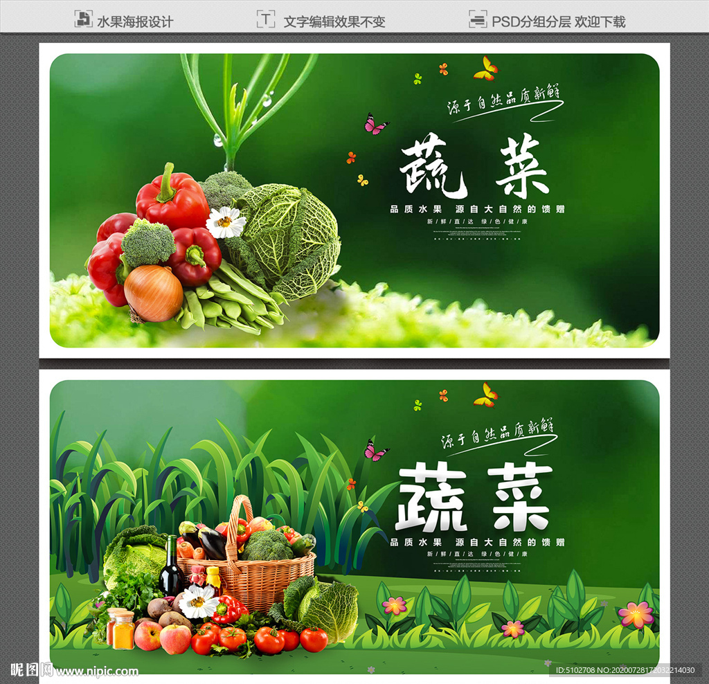 蔬菜 蔬菜海报 蔬菜展板