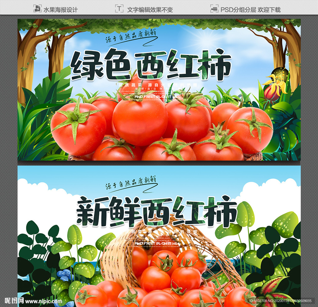 西红柿
