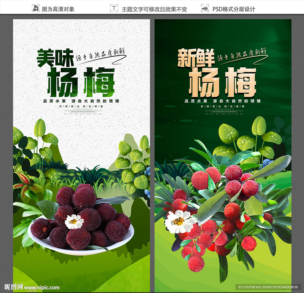 杨梅海报