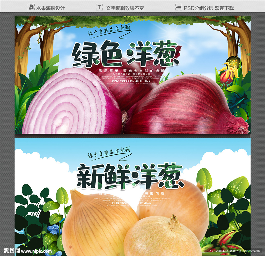 洋葱