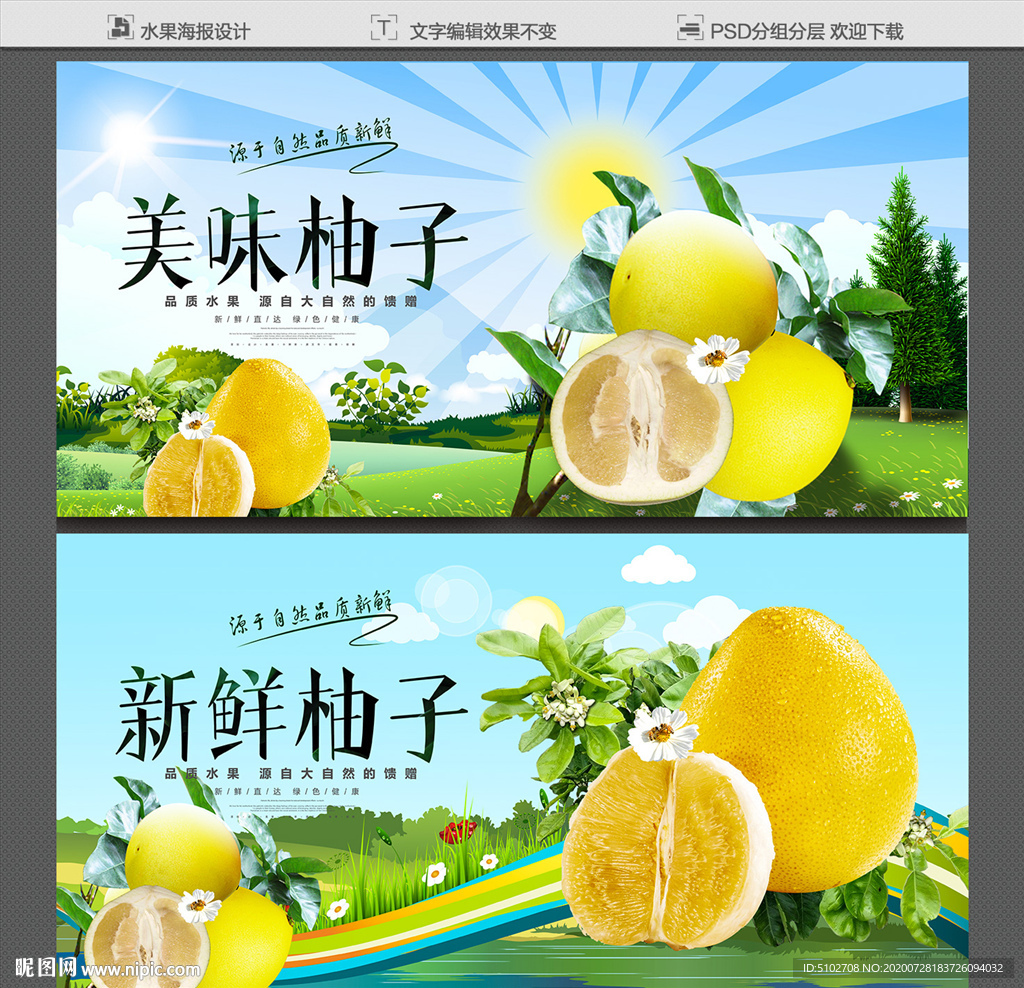 柚子海报
