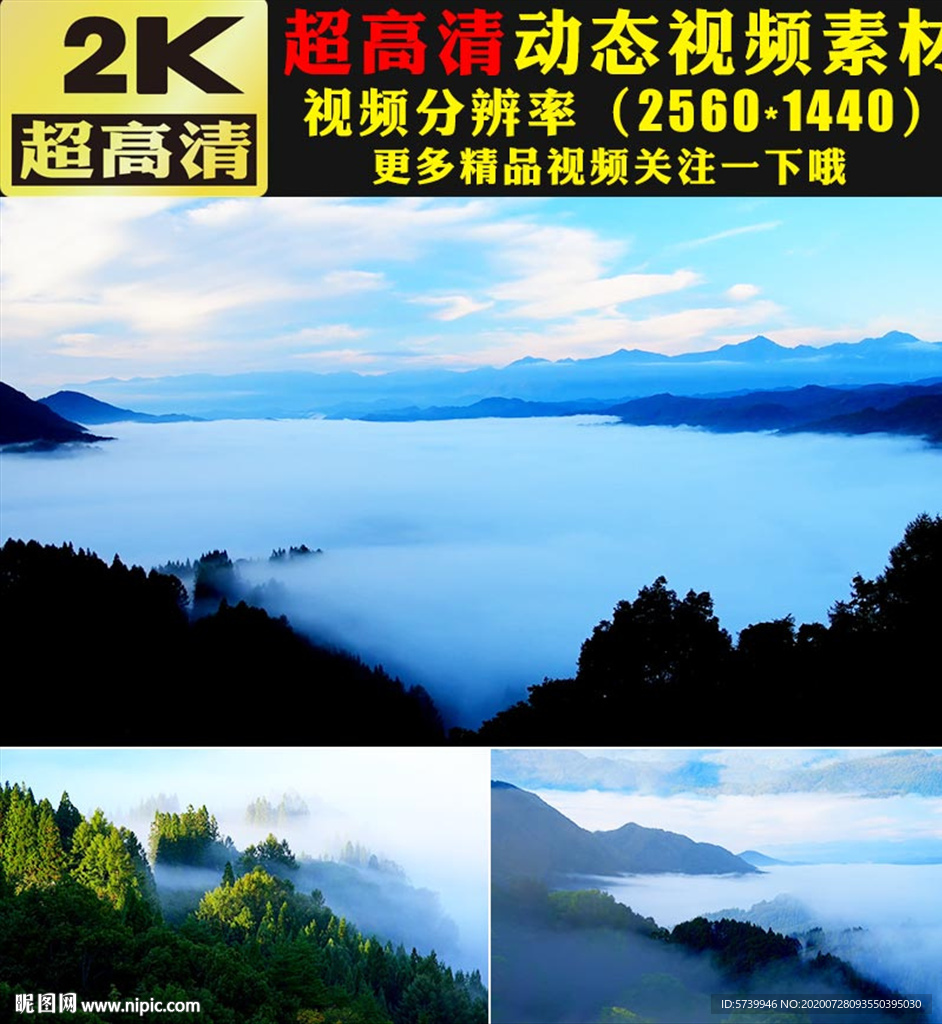 小清晰高山森林树木蓝天云海视频