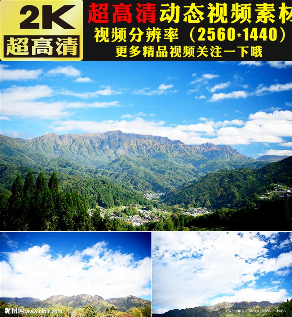 高山森林树木小草蓝天白云视频