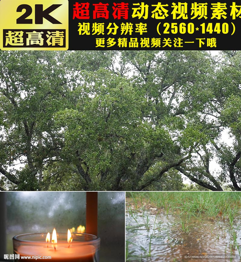 下雨天雨水草地绿叶大树蜡烛实拍
