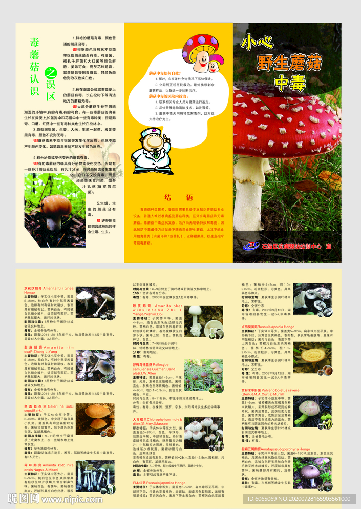 毒蘑菇三折页