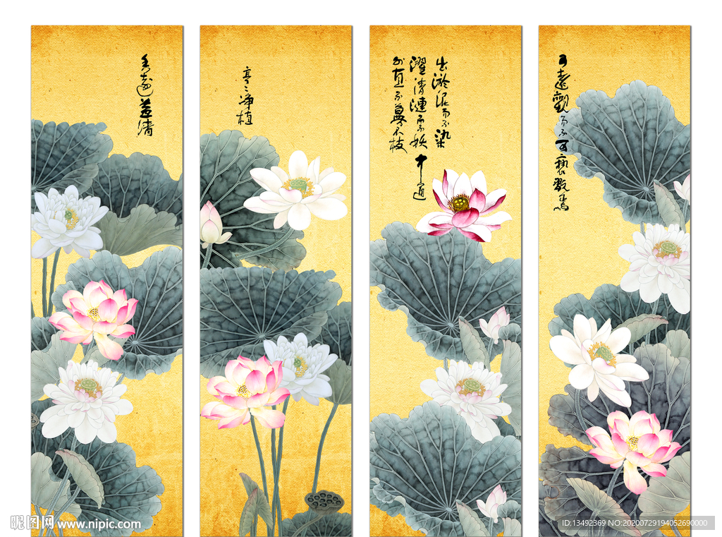 荷花图